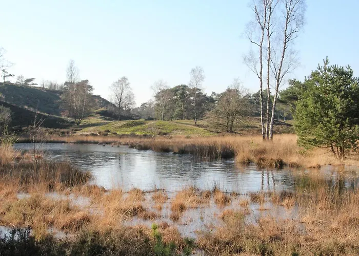 Vakantiehuis 2 Bedroom Beautiful In Well (Limburg)